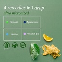 fast-acting-ginger-for-nausea-relief-her-3.jpg