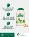 omegavia-vegan-omega-3-supplement-algae--4.jpg