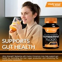 wellness-labsrx-berberine-supplement-150-6.jpg