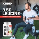 xtend-original-bcaa-powder-7g-bcaas-and--4.jpg