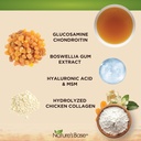 natures-base-glucosamine-chondroitin-pro-5.jpg