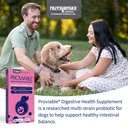 nutramax-proviable-probiotics-for-dogs-d-3.jpg