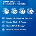 vital-plan-brain-boost-supplement-by-dr--6.jpg