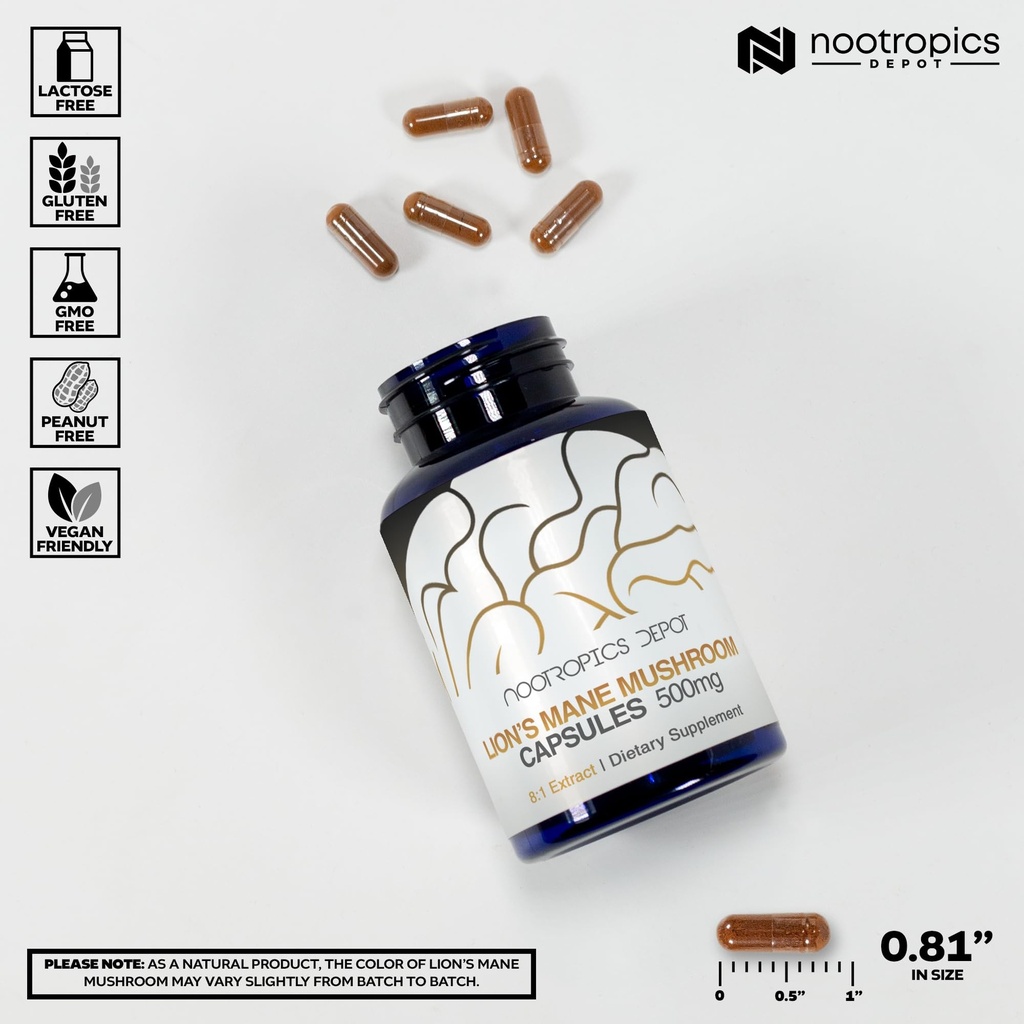 nootropics-depot-lions-mane-mushroom-cap-3.jpg