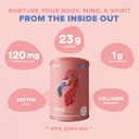 birdman-fitmingo-vegan-protein-powder-wi-4.jpg