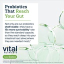 hyperbiotics-vital-nutrients-prebiotic-a-5.jpg