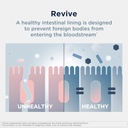 designs-for-health-gi-revive-gut-health--4.jpg