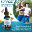 zeolite-detox-adrenal-focus-support---cl-5.jpg