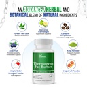 dr-vitamin-solutions-thermogenic-fat-bur-4.jpg