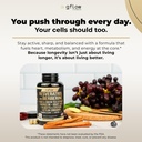 gflow-vitamins-resveratrol-supplement-wi-5.jpg