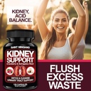 kidney-support-cleanse-detox-repair---to-6.jpg
