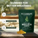 betterbrand-mullein-gummies-for-lungs-10-6.jpg