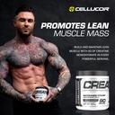 cellucor-pre-workout-creatine-bundle-c4--6.jpg