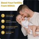 semanoid-60-caps-maximum-fertility-formu-2.jpg