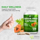 freshdrinkus-120-papaya-fruit-extract-ca-4.jpg