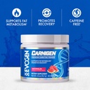 evogen-carnigen---premium-carnitine-powd-4.jpg
