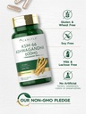 carlyle-ksm-66-ashwagandha-capsules-600m-4.jpg