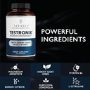 vitasei-testronix-supplement---energy-an-4.jpg