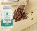 quinine-cinchona-bark-extract-1000-mg-he-4.jpg