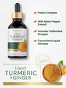 carlyle-turmeric-and-ginger-drops-2-fl-o-4.jpg