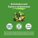 vitapia-organic-artichoke-extract-supple-5.jpg