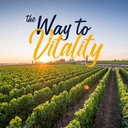 vitalitown-women-s-probiotics-200-billio-6.jpg