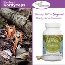 perfect-supplements-perfect-cordyceps-90-6.jpg