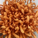 usa-grown-certified-organic-dried-cordyc-5.jpg