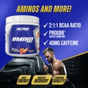 alpha-supps-amino-nrg-bcaa-amino-energy--2.jpg