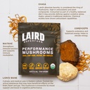 laird-superfood-organic-performance-mush-4.jpg