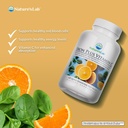nature-s-lab-iron-plus-vitamin-c-fast-me-2.jpg