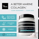 3-pack-amino-collagen-c---collagen-powde-2.jpg