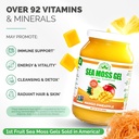 eversmith-organics-wildcrafted-irish-sea-3.jpg