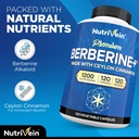 nutrivein-premium-berberine-1200mg-resve-3.jpg