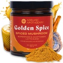 Golden Spice - Golden Milk w/Mushrooms, Heirloom Turmeric Latte Spice Blend | Turkey Tail & Ashwagandha Adaptogens | Caffeine-Free Rooibos Matcha | No Milk, Sweeteners, or Fillers