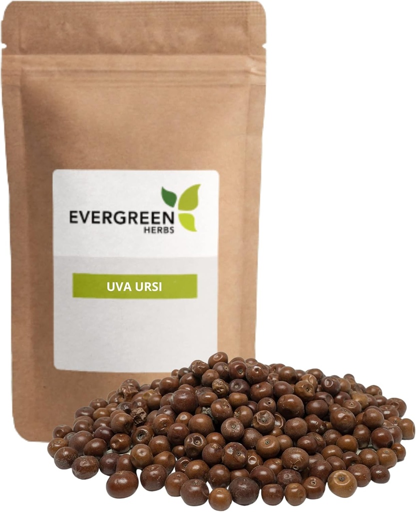 Evergreen Herbs Pinguica Fruto - Uva Ursi Fruit (8 oz.) - Resealable Stand Up Pouch to Ensure Freshness!