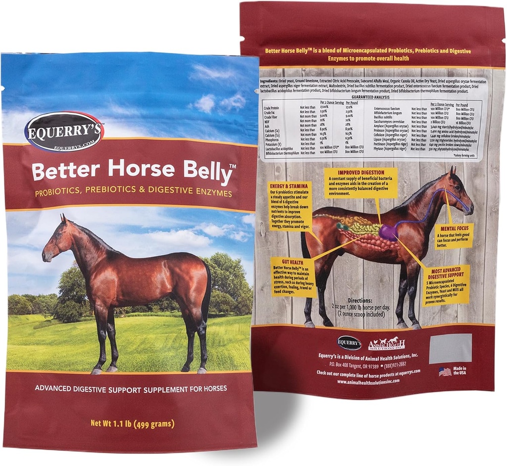 EQUERRY'S Better Horse Belly - Horse Supplement with Gut Support | Horse Probiotics with Prebiotics and Digestive Enzymes | for Colic, Digestive Upset, 1.1LB