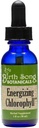 Birth Song Botanicals Energizing Chlorophyll Tincture, Super Concentrated Liquid Chlorophyll Drops, Herbal Energy Support Supplement and Internal Deodorizer, Mint Flavor 1oz Bottle