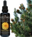 Kejiwa PIÑON PINEAL Spagyria: Wild Harvested Pine Herbal Tincture for Third Eye Activation, Nootropic, Adaptogen, Vitality Support 1.69 fl oz