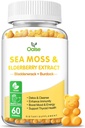 Sea Moss Gummies for Adults and Kids, 2000mg Raw Seamoss, Bladderwrack, Burdock Root, Elderberry, Pepper, Vitamin C & D3, Zinc Supports Immune System & Boost Energy (1-Pack)