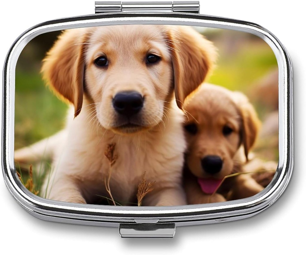 Cute Golden Retriever Puppy Pill Box 2 Compartment Portable Pill Case Daily Square Pill Organizer for Pocket Purse Daily Medicine Container to Hold Vitamins Fish Oil Travel Gifts