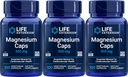 Life Extension Magnesium 500 mg, 100 Vegetarian Capsules (Pack of 3)