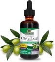 Nature's Answer Olive Leaf Extract, Alcohol-Free, Non-GMO, Vegan, Gluten-Free, Made in USA, 2 Ounce | Olive Leaf Extract for Wellness