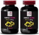 Ginkgo biloba Product - Ginkgo BILOBA Extract - Natural antioxidant Formula, Ginkgo biloba Extract Benefits, Herbal antioxidant Extract, Ginkgo biloba antioxidant Support 2 Bottles 120 Capsules