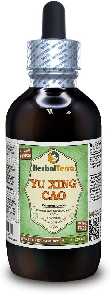 Yu Xing Cao (Houttuynia Cordata) Glycerite, Dried Herb Alcohol-Free Liquid Extract (Brand Name: HerbalTerra, Proudly Made in USA) 4 fl.oz (120 ml)