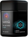 MitoQ +Eye Advanced CoQ10 Antioxidant - Contains Mitoquinol Mesylate, Lutein, Zeaxanthin, Bilberry, Maritime Pine Bark - Supports Eye Health, Blue Light Filtration & Cell Vitality (60 Capsules)