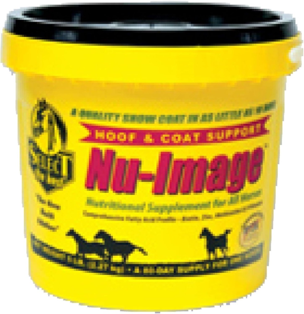 JUANWAN RICHDEL Nu-Image 073525