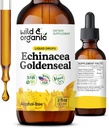 Wild & Organic Echinacea Goldenseal Liquid Drops - Immune Support Supplement w/Goldenseal Echinacea Root Extract - Vegan, Sugar & Alcohol-Free Tincture - 2 fl oz