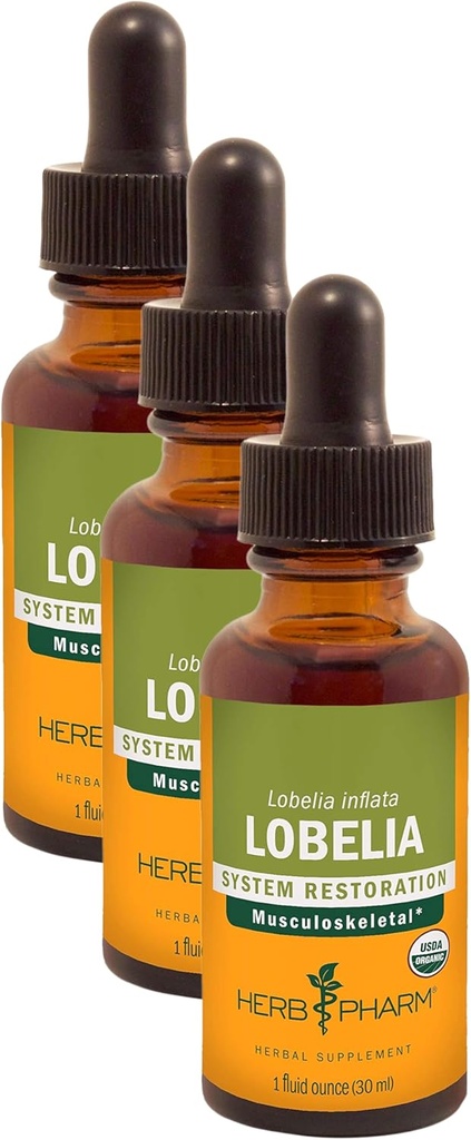 Herb Pharm Certified Organic Lobelia Liquid Extract for Musculoskeletal System Support - 1 Ounce (DLOBEL01) (Pack of 3)