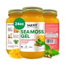 Sea Moss Gel Ashwagandha Mango (25 Flavors) 24oz Wildсrafted Gold Sea Moss Gel from Saint Lucia | 92 Vitamins and Minerals | Pure Raw+Non-GMO